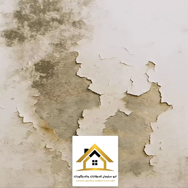 معالجة رطوبة الجدران الداخلية جده