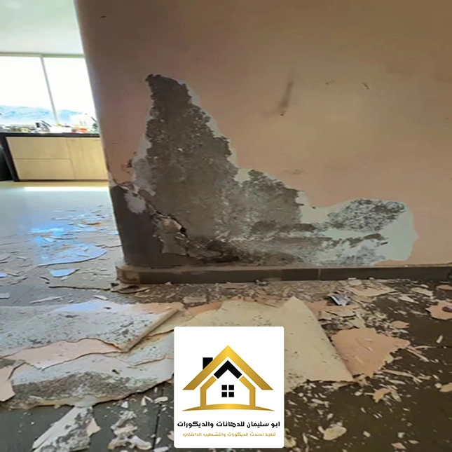 اصلاح رطوبة الجدران في جده
