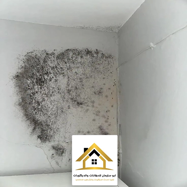 معالجة رطوبة الجدران الداخلية جده