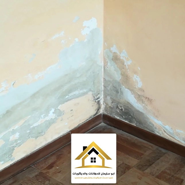 عزل الجدران من الرطوبة في جدة