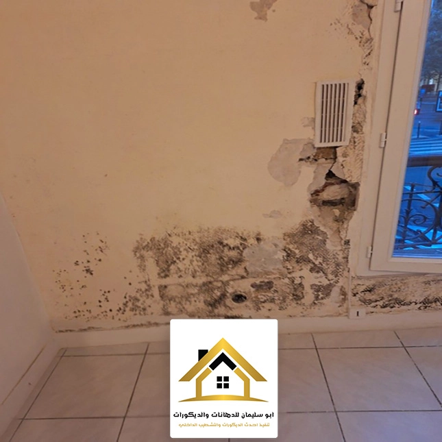 عزل الجدران من الرطوبة