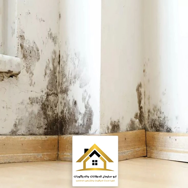 معالجة رطوبة الجدران الداخلية جده
