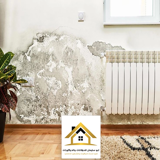 اصلاح رطوبة الجدران في جده
