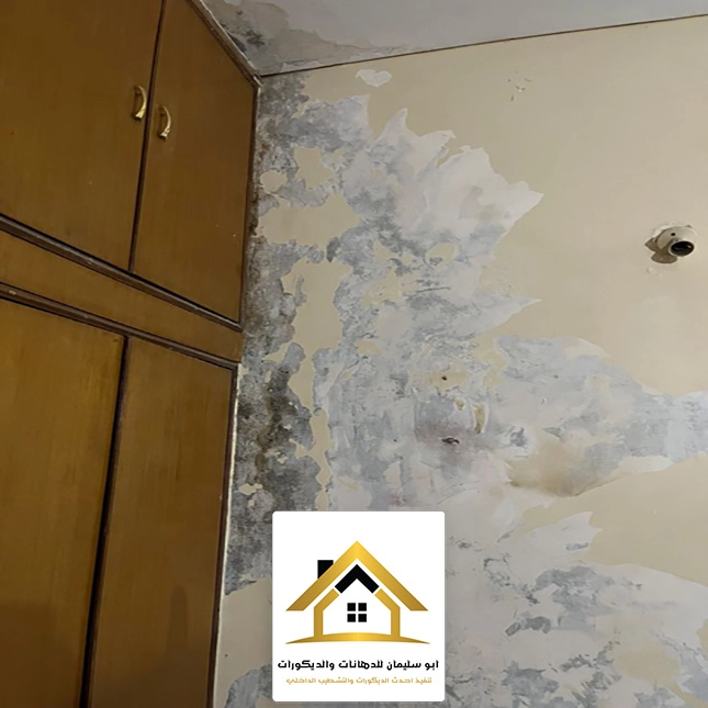 عزل الجدران من الرطوبة