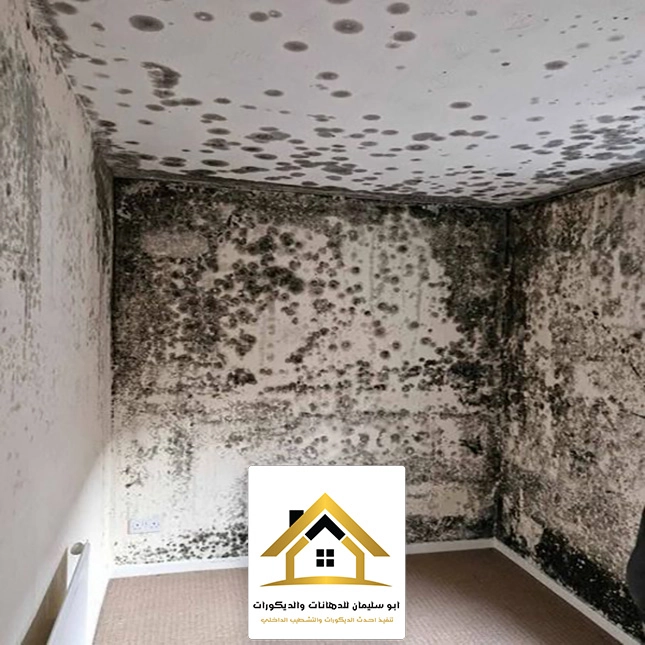 ازالة الرطوبة من الجدران بجده
